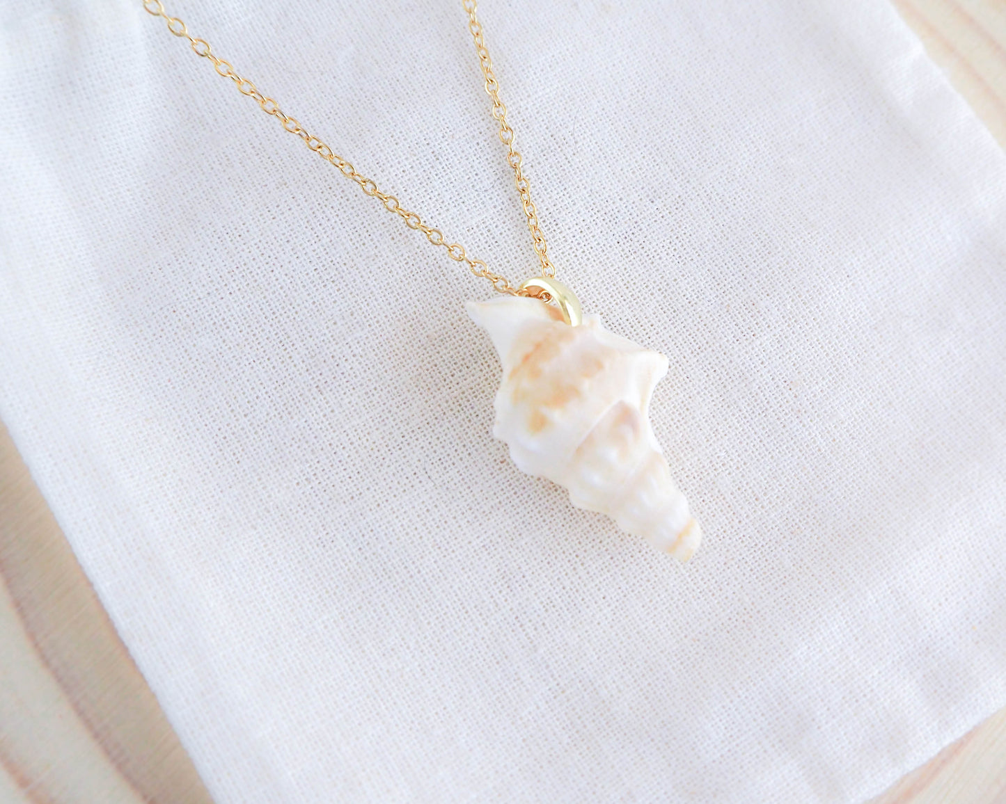 SEASHELL NECKLACE ~ Gold Pelican's Foot Shell