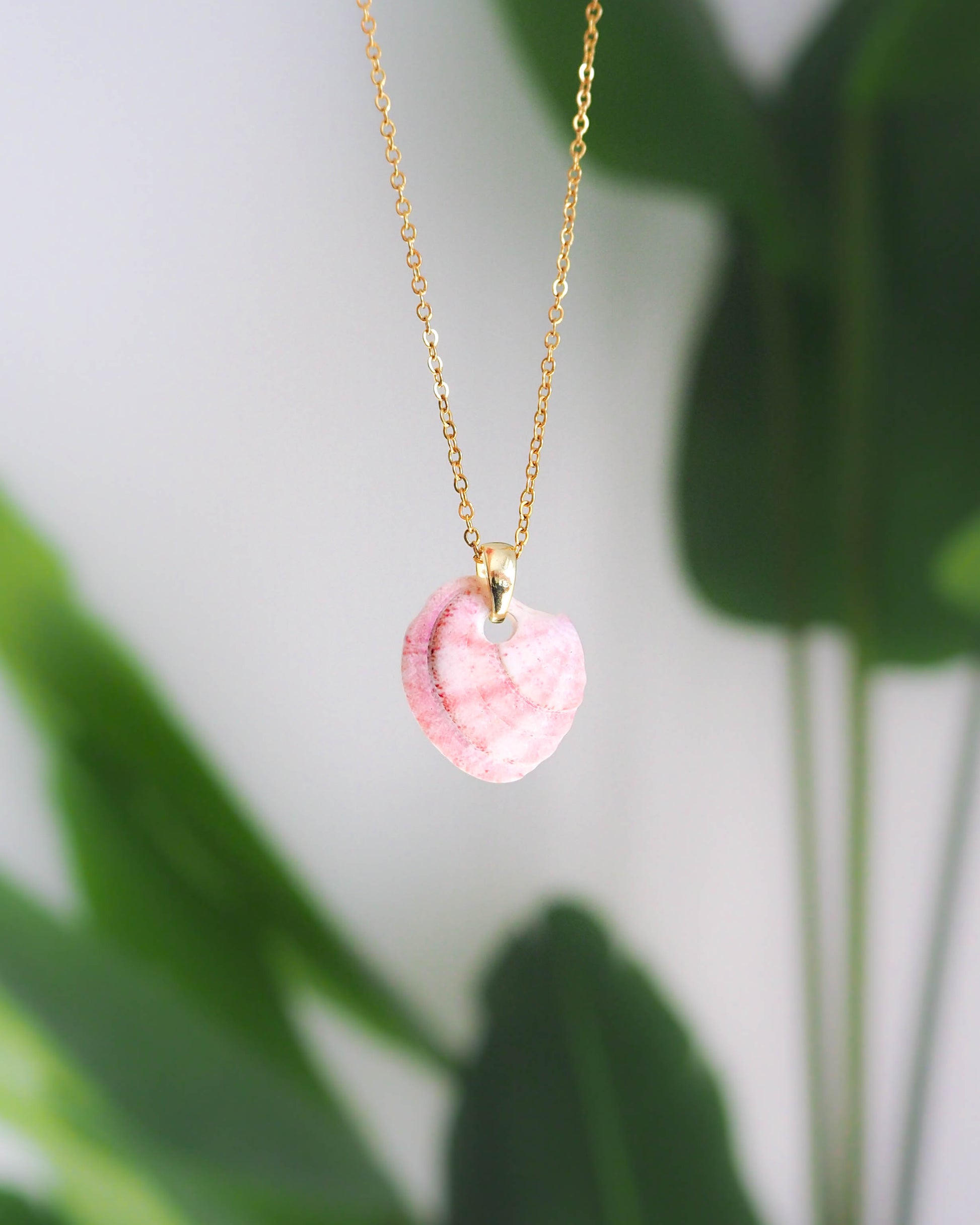 Pink Shell Gold Necklace, Seashell necklace with Strawberry shell from Portugal
