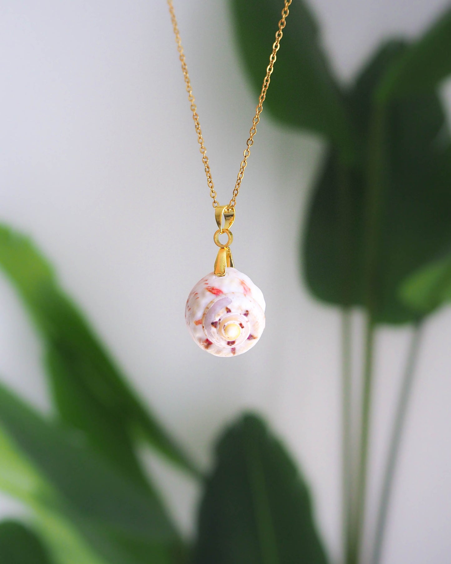 White Pink Topshell Necklace, Magus Topshell, Tulban Topshell, Cupcake Shell, Algarve Portugal