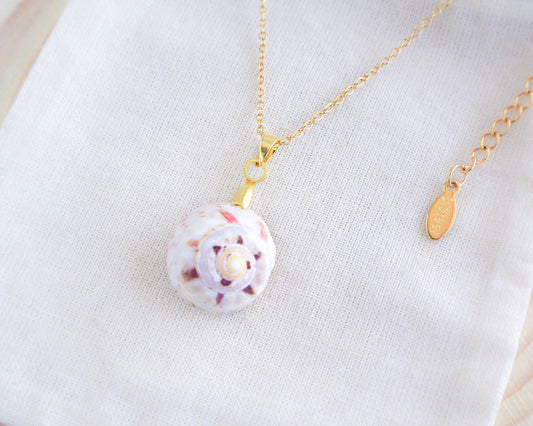 SEASHELL NECKLACE ~ White Pink Magus Shell