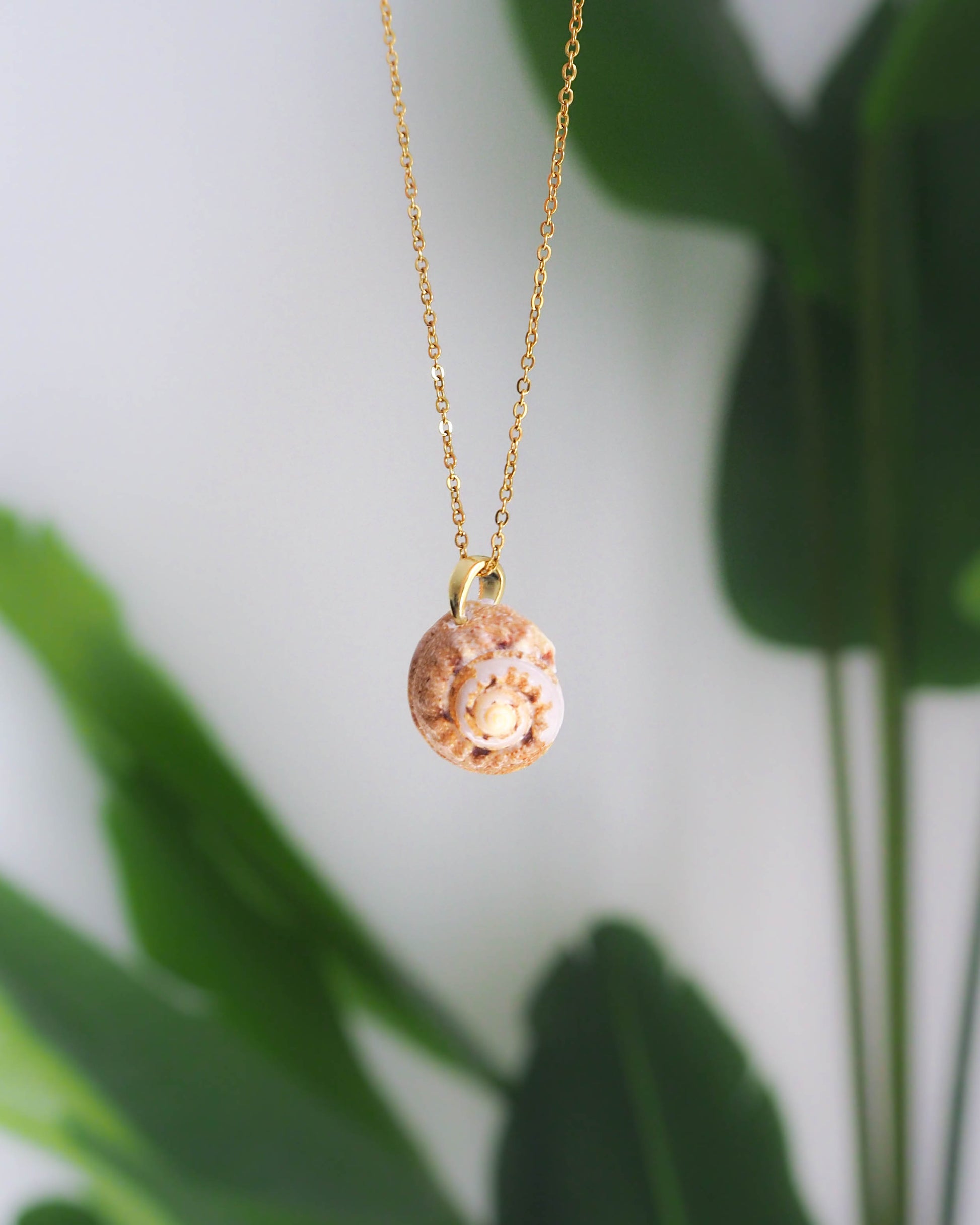 Gold Necklace with Turban TopShell from Portugal, Seabylou, Coastal jewellery, Necklace with real shell