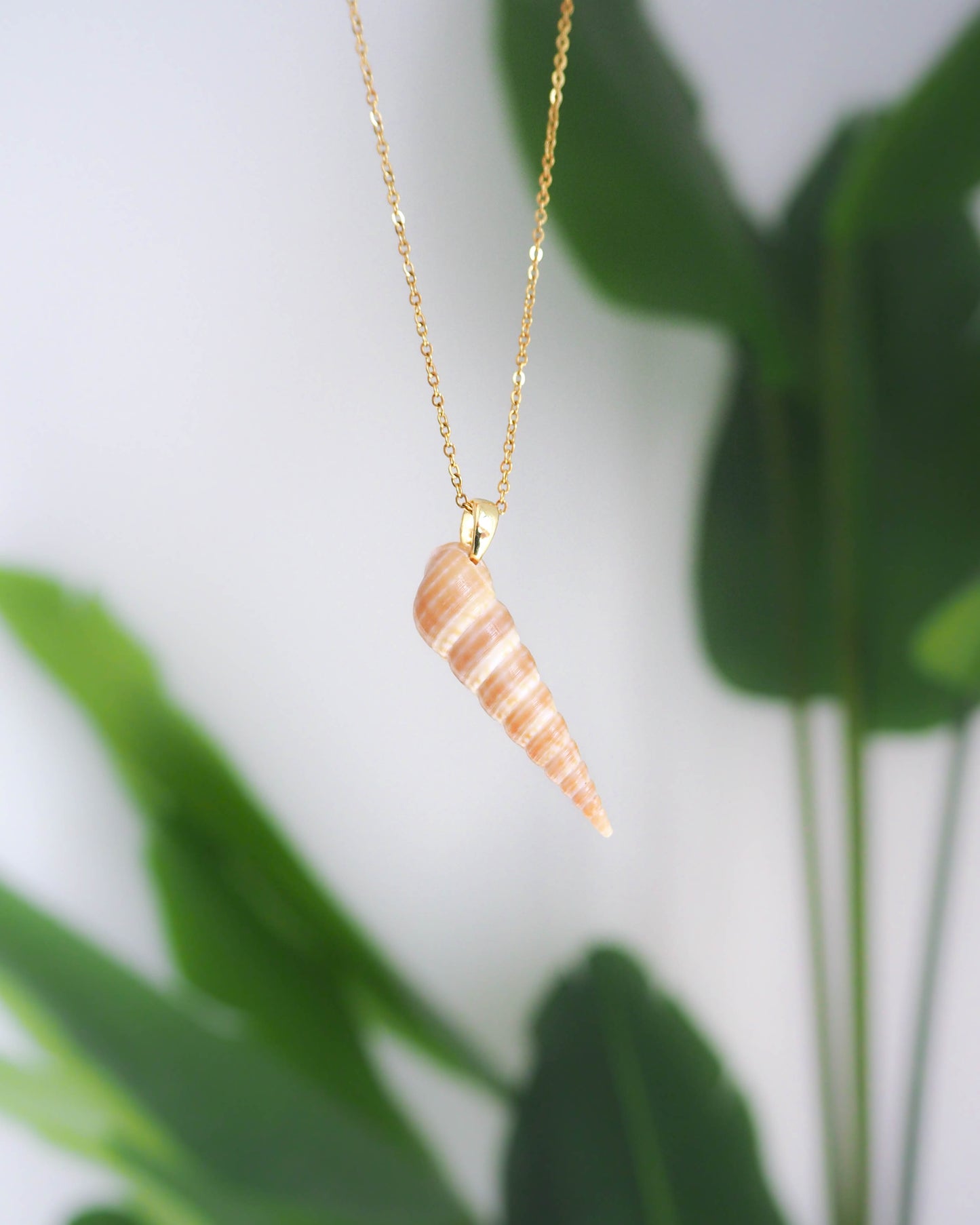 SEASHELL NECKLACE ~ Gold Common Tower Shell
