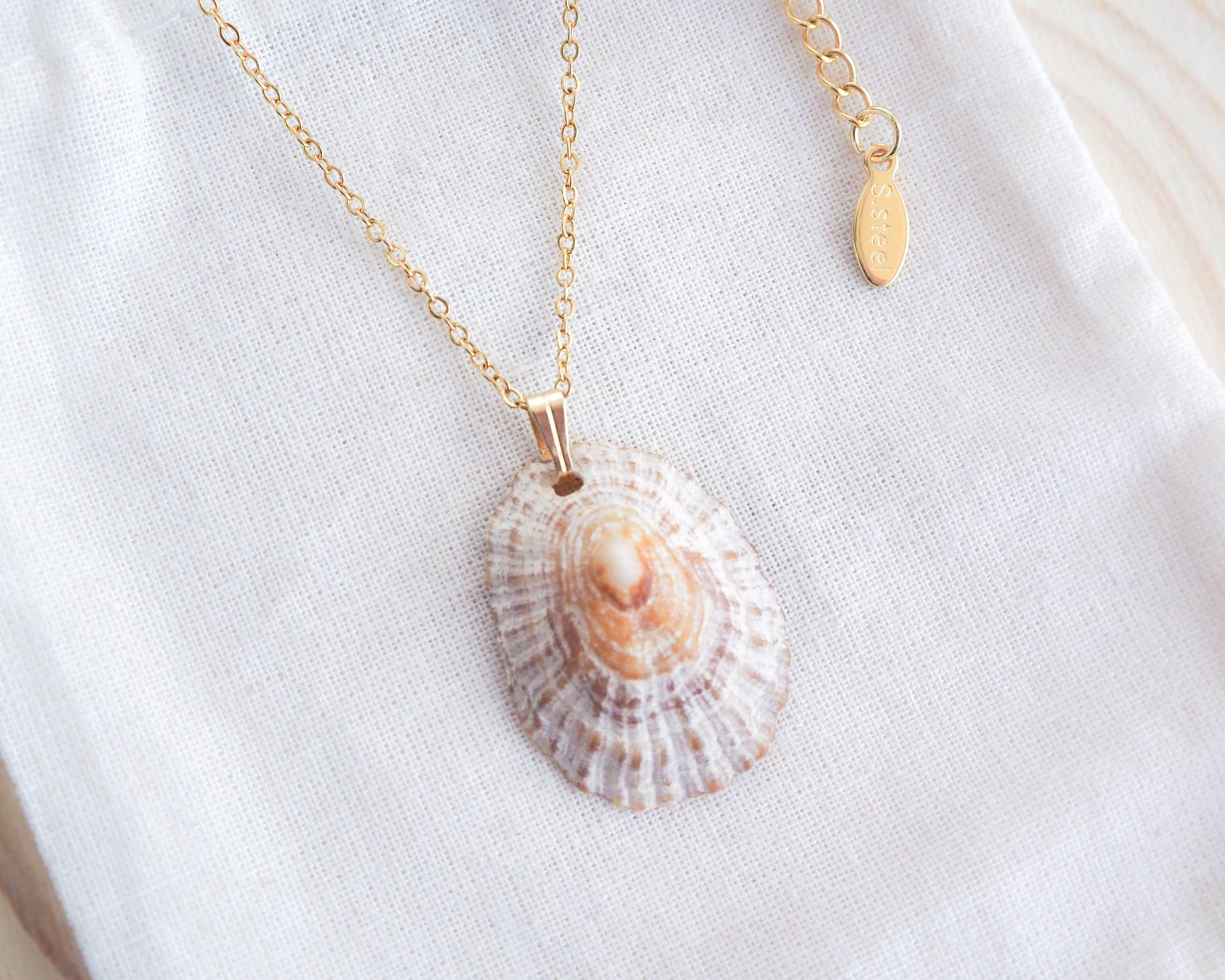 Gold Rustic Limpet Shell Necklace, Ocean Inspired Jewelry, Sea by Lou