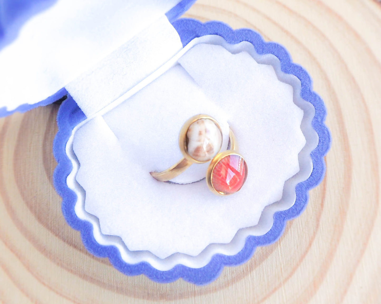 Gold Shell Ring, Ring with Scallop Shell and Venus Shell, Real Shell Jewelry, Sea by Lou, Coastal Style