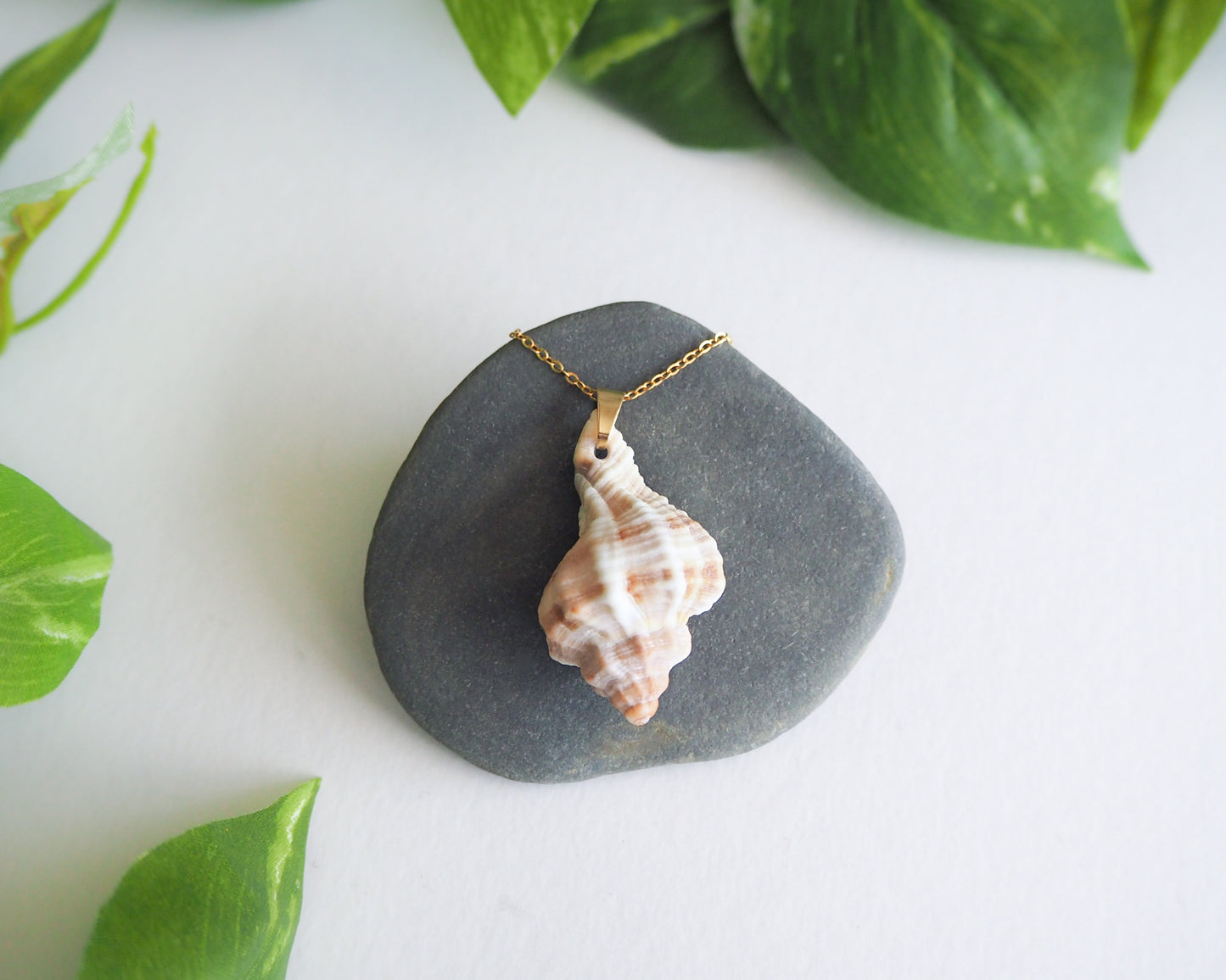 SEASHELL NECKLACE ~ Gold Murex Shell