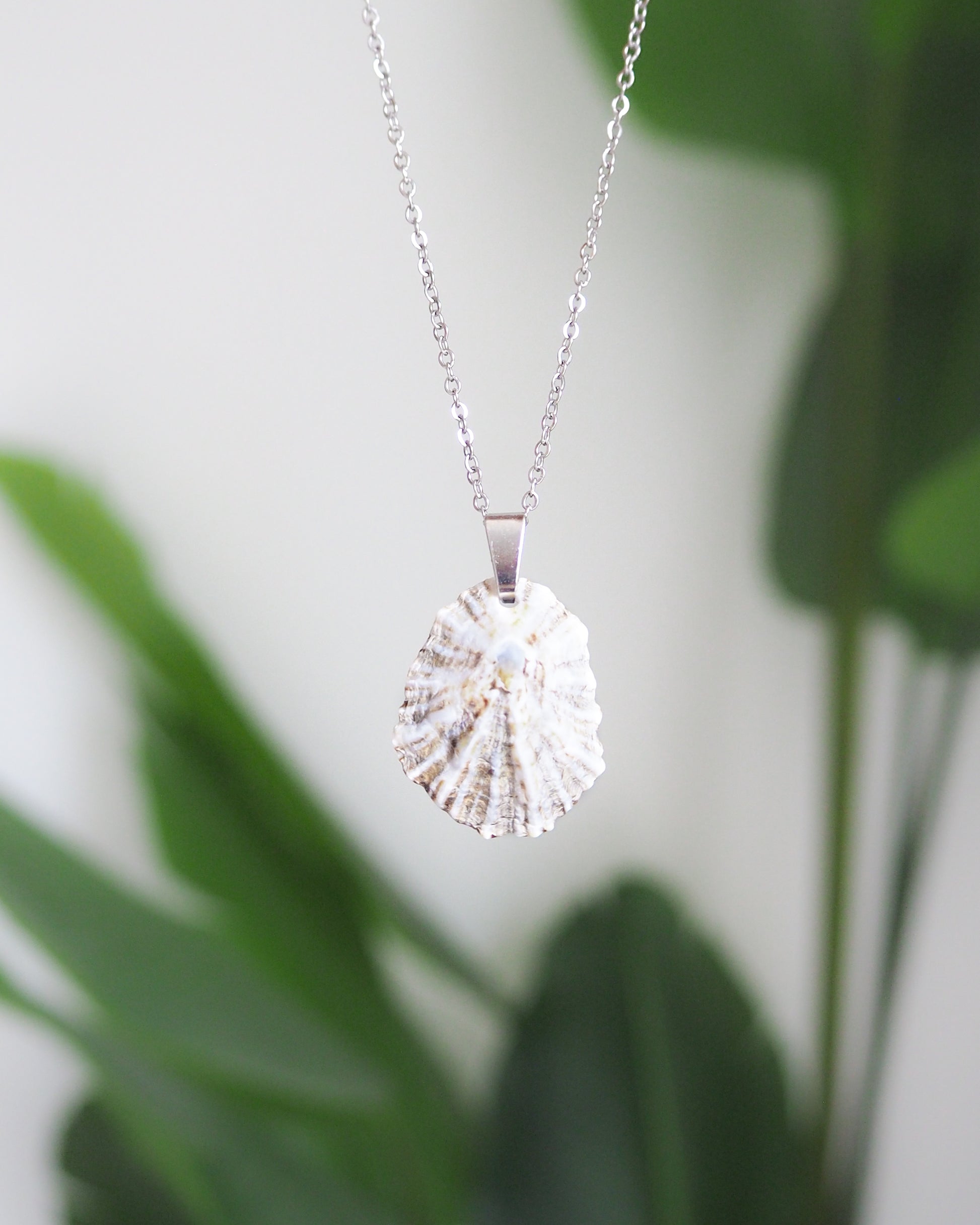 Silver Limpet Shell Necklace, Real Shell Necklace, Sea by Lou jewelry
