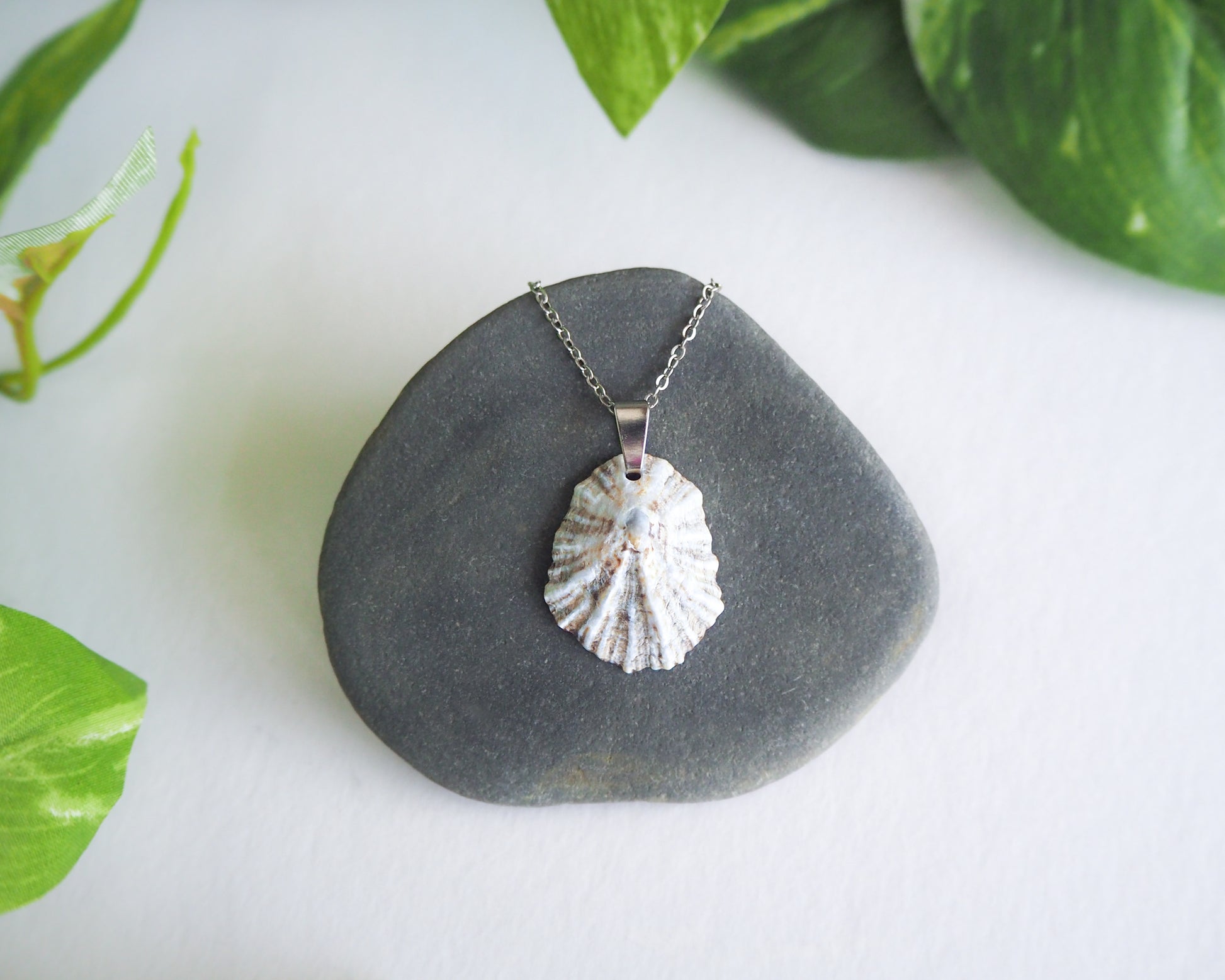 Silver Limpet Shell Necklace on stone, Real Shell Necklace, Sea by Lou jewelry