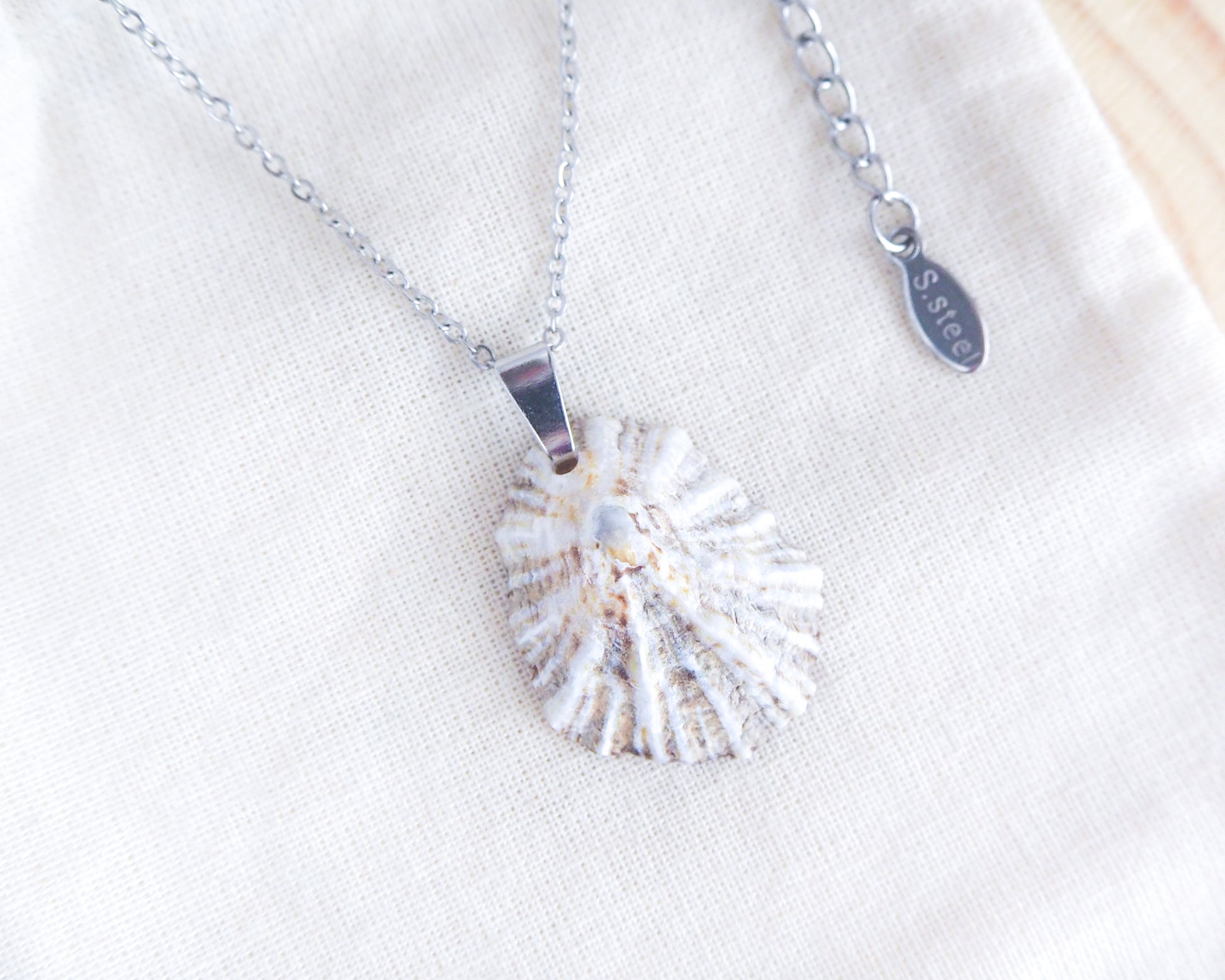 Silver Limpet Shell Necklace on display, Real Shell Necklace, Sea by Lou jewelry
