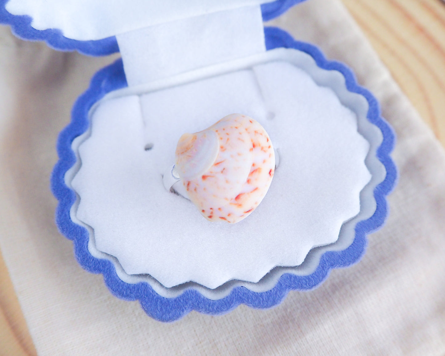 Coral White Tiny Venus Shell Ring from Portugal in box, Sea by Lou