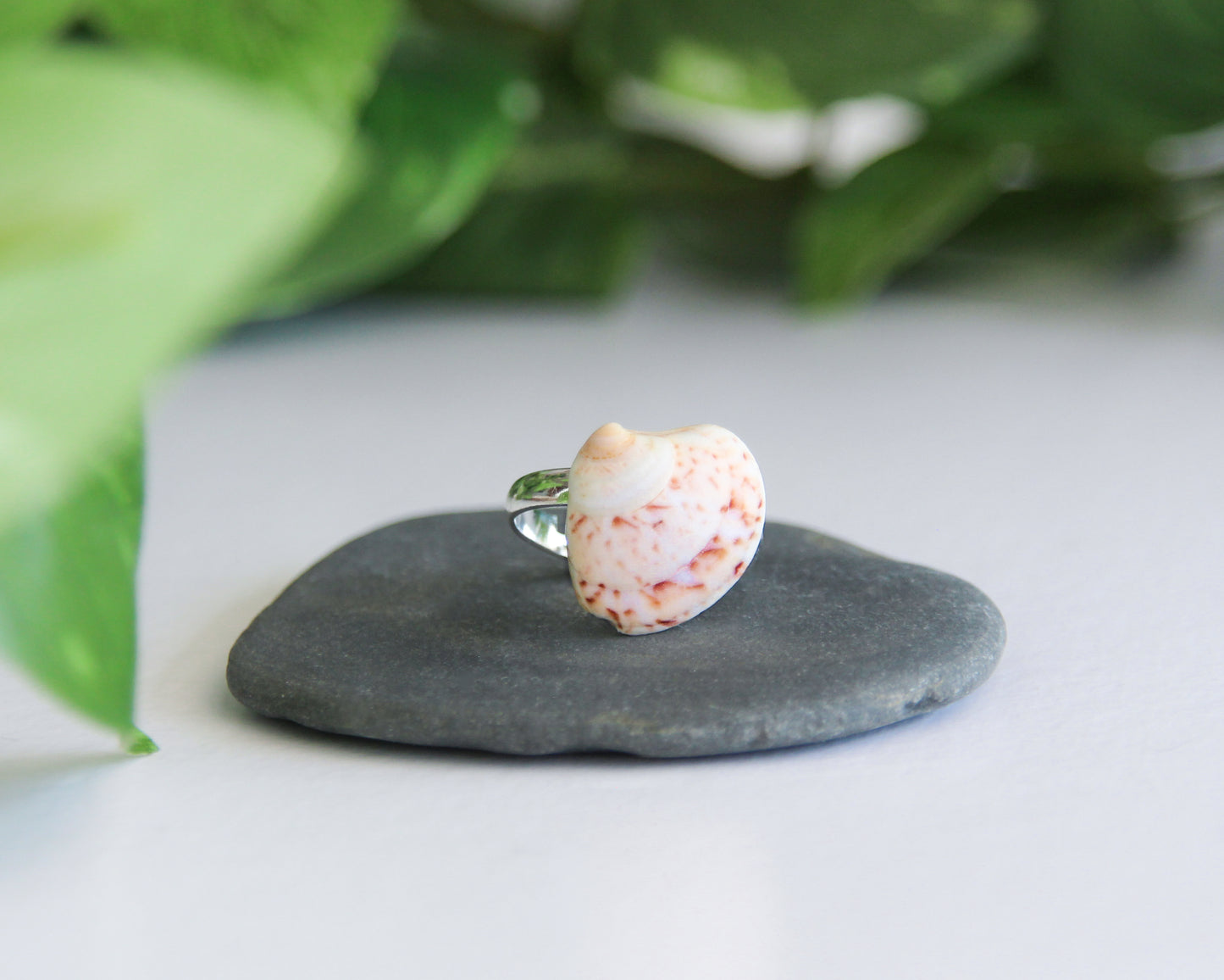 Coral White Tiny Venus Shell Ring from Portugal on stone, Sea by Lou