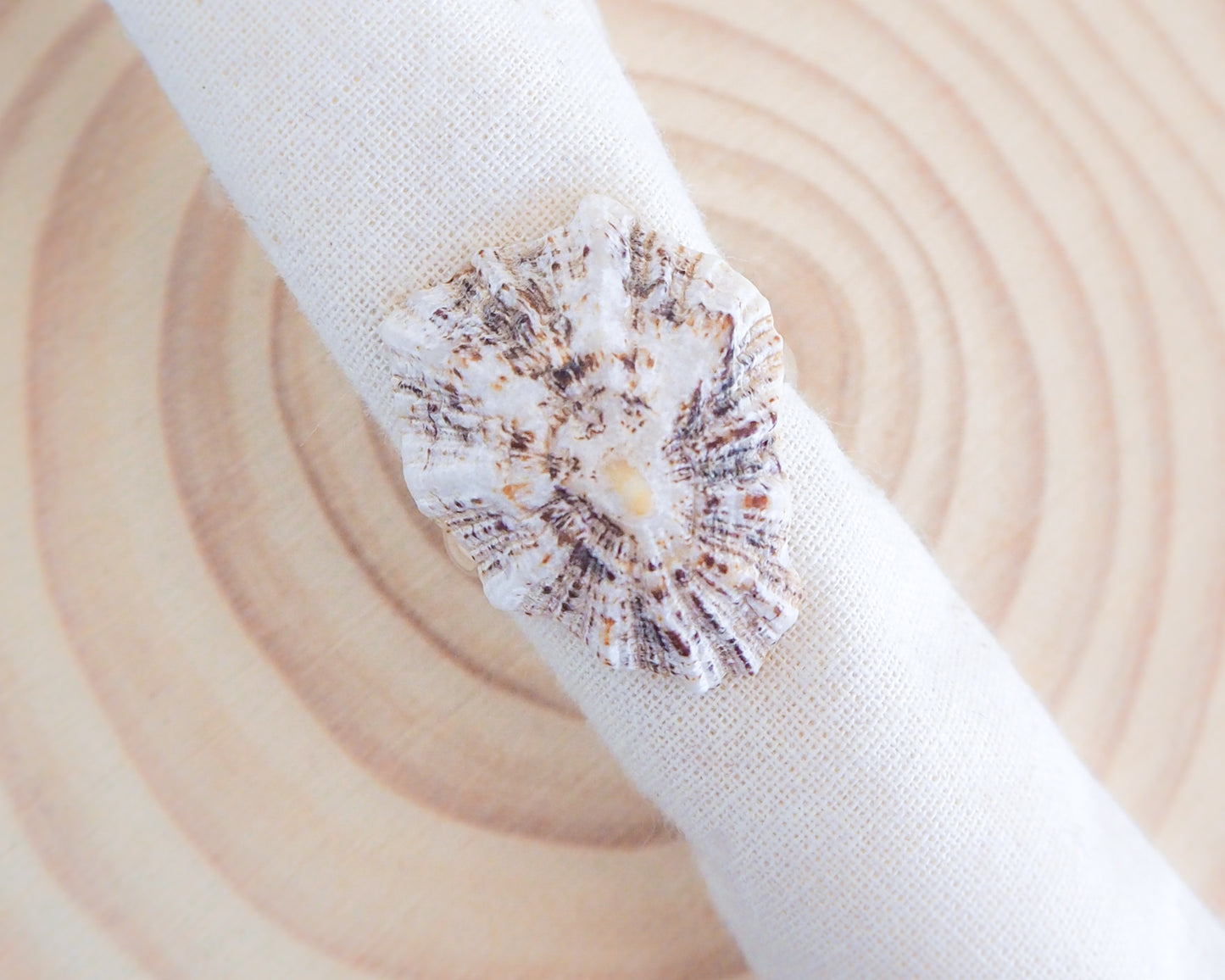 Silver Limpet Shell Ring