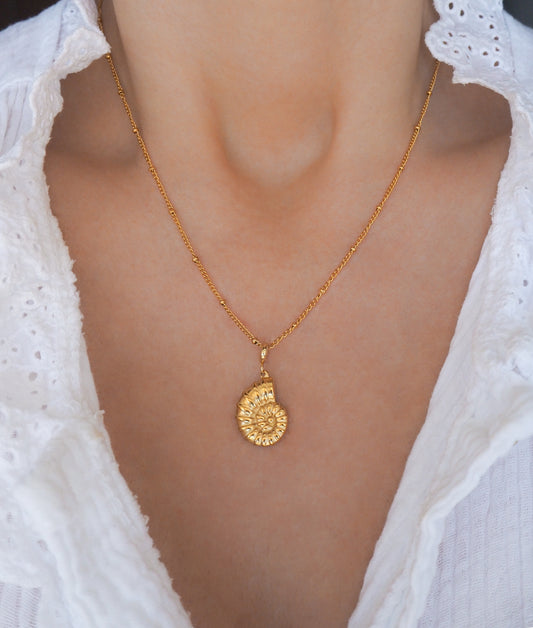 Nautilus Seashell Gold Necklace, Seabylou pendant on model