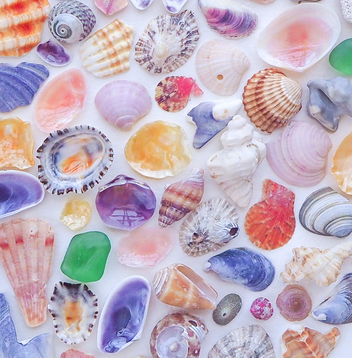 Shell Heart Rainbow Color details, Coastal Nursery room, Seashell Heart