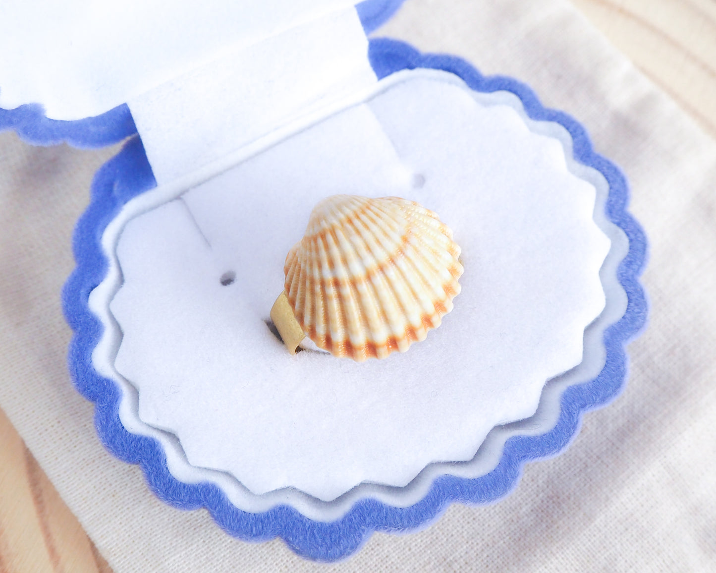 Sunny Shell Mediterranean Cockle Gold Ring in box, Seabylou