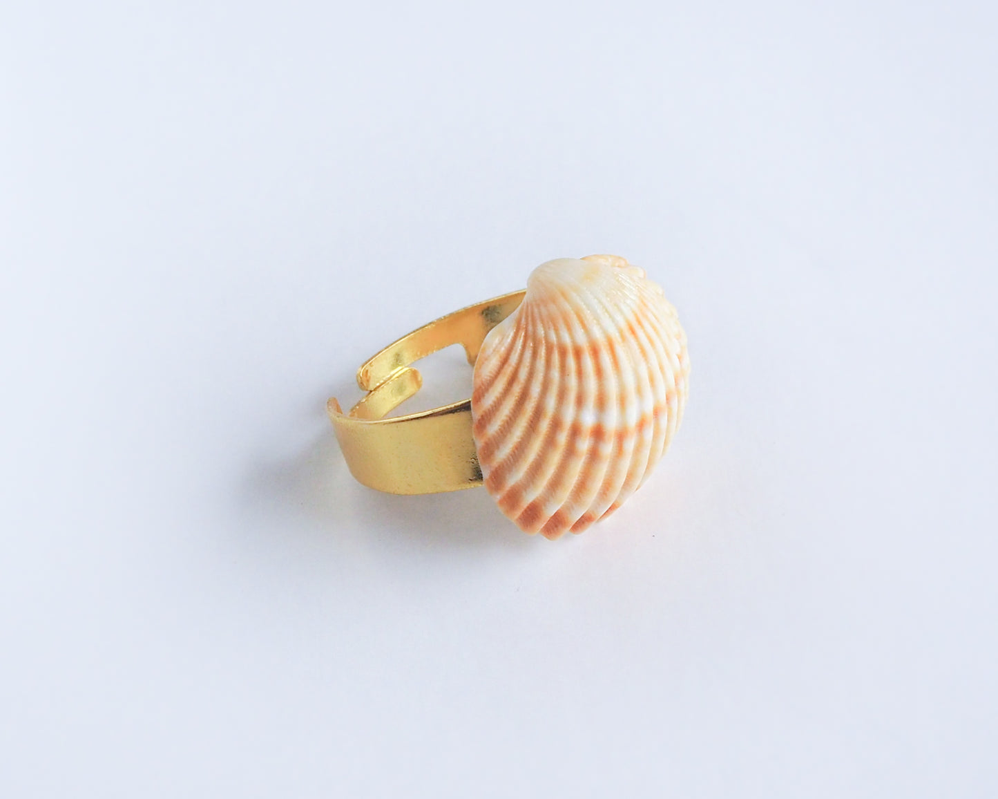Sunny Shell Mediterranean Cockle Gold Ring side view, Seabylou