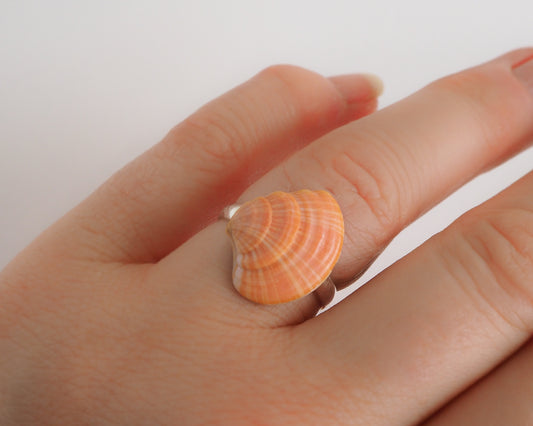 Mini Coral Striped Venus Shell Silver Ring on finger