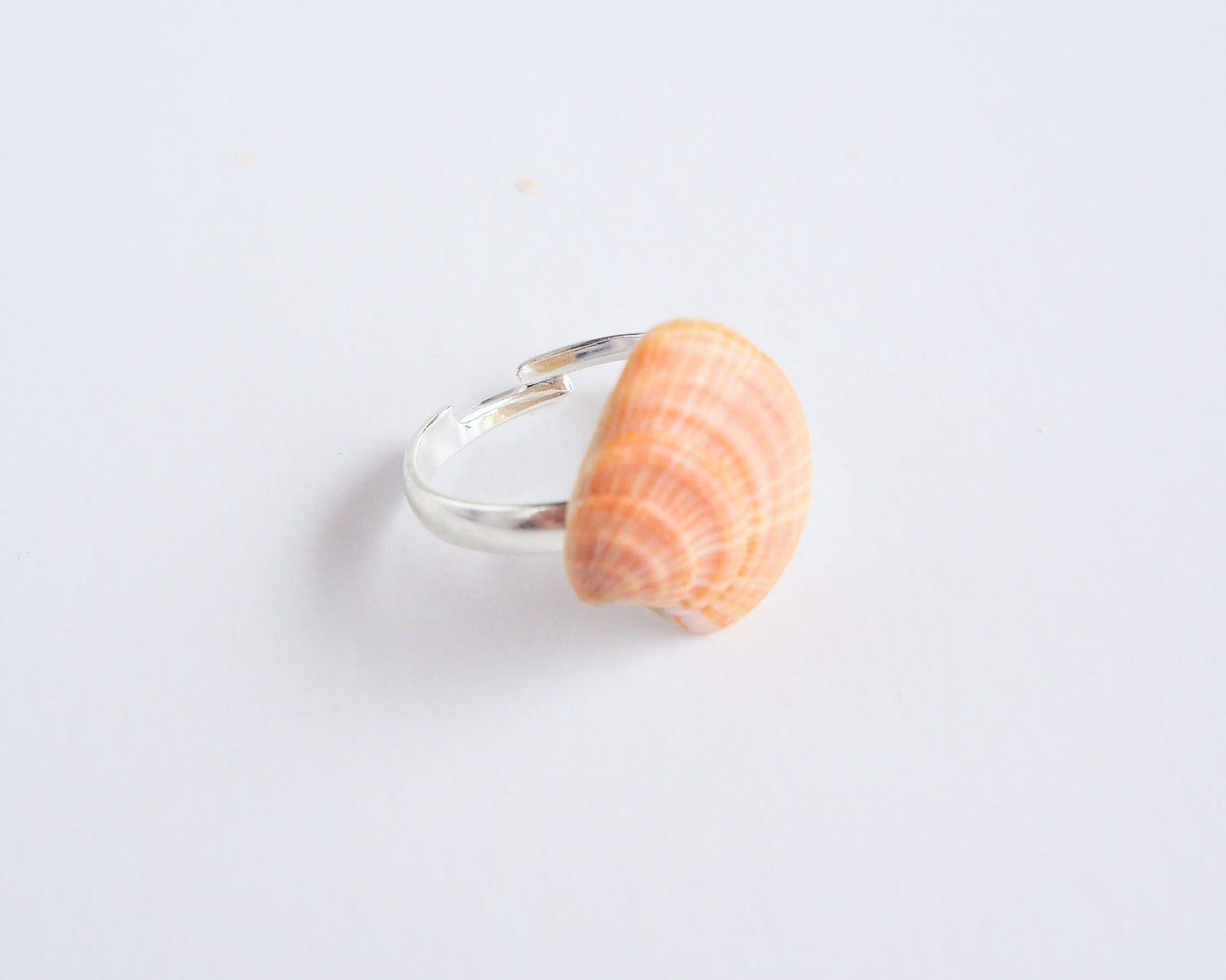 Mini Coral Striped Venus Shell Silver Ring on display