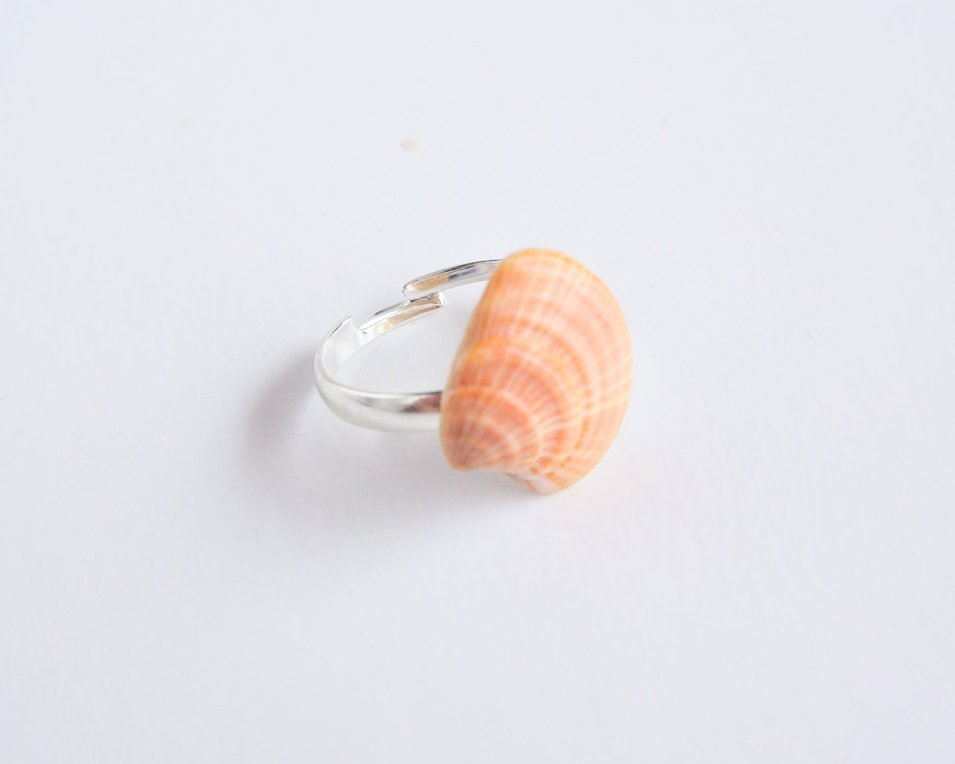 Mini Coral Striped Venus Shell Silver Ring on display