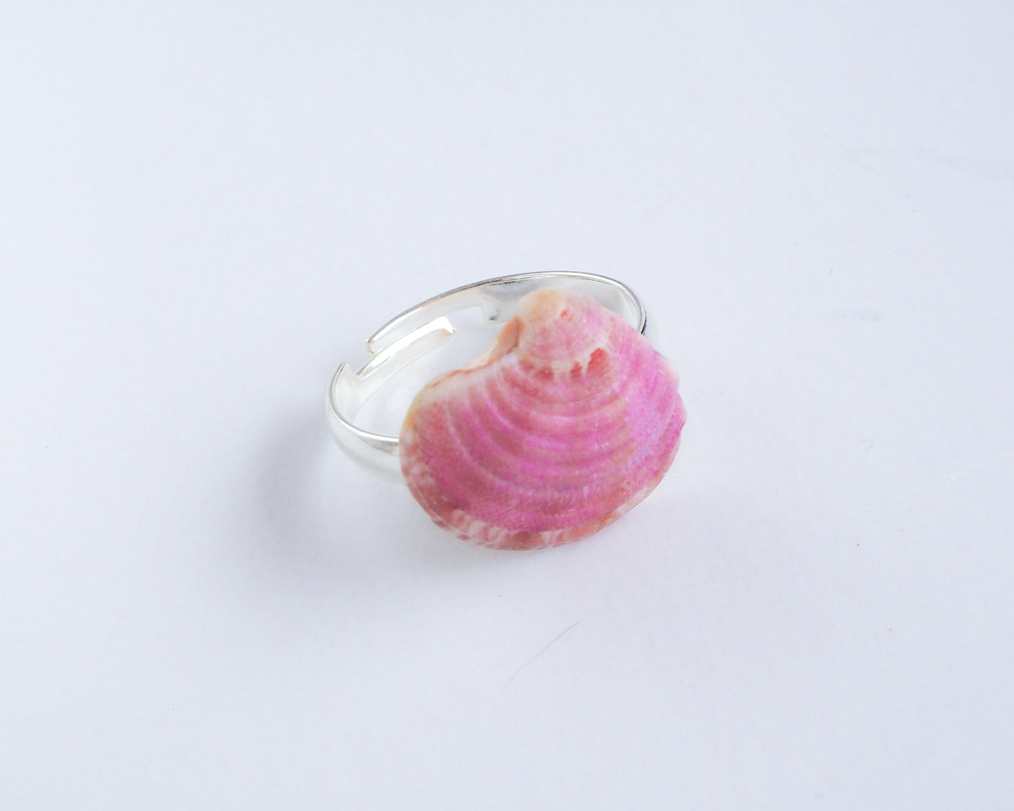 SEASHELL RING ~ Mini Purple Raspberry Venus Shell