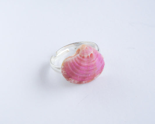 SEASHELL RING ~ Mini Purple Raspberry Venus Shell