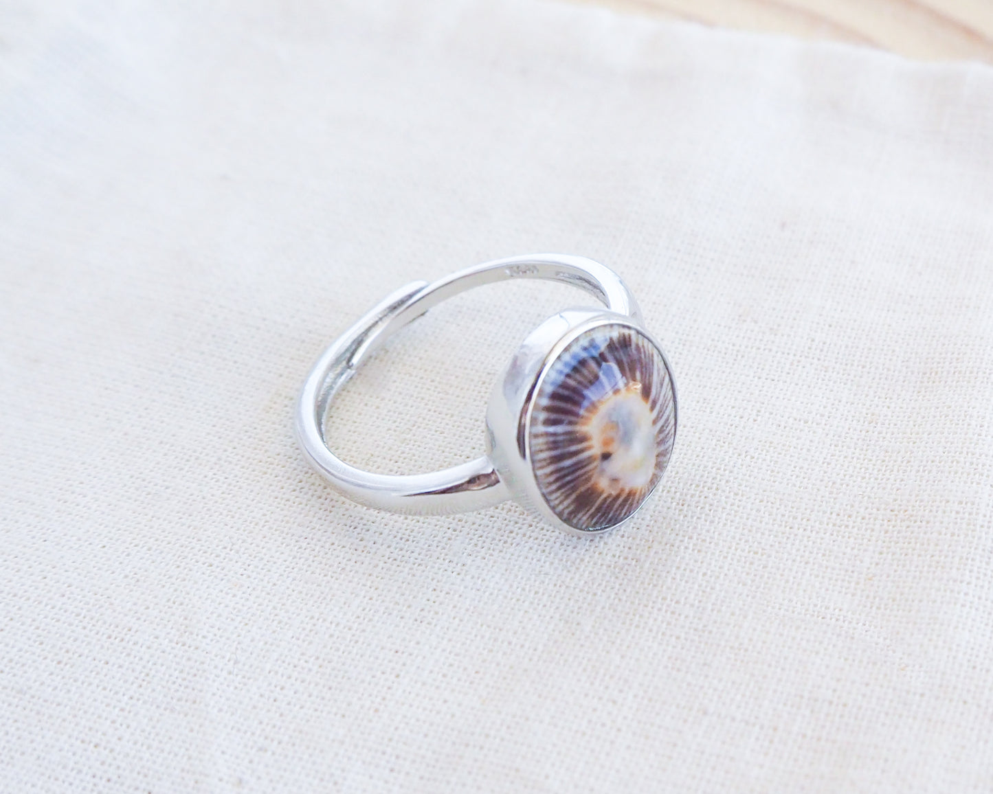 Shell Silver Ring with Dark Limpet from Portugal side view