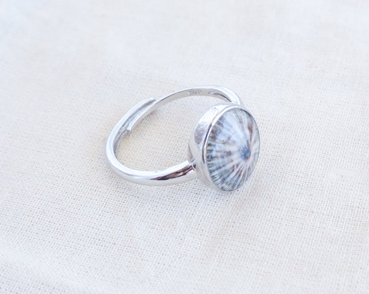 Silver Limpet Shell Ring adjustable side view