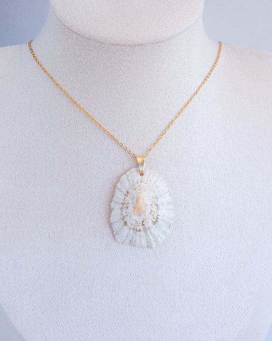 Limpet Shell IV Necklace with Gold Stainless Steel Chain on neck