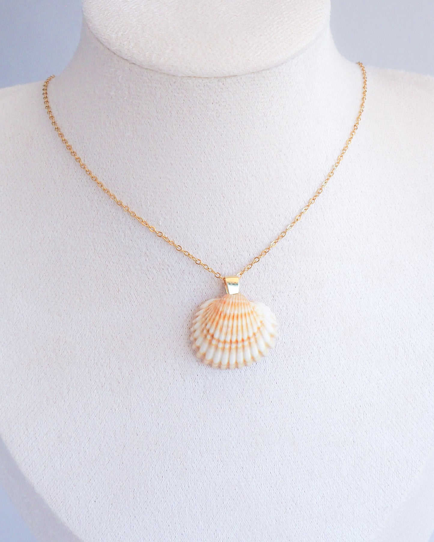 SEASHELL NECKLACE ~ Gold Mediterranean Cockle Shell II