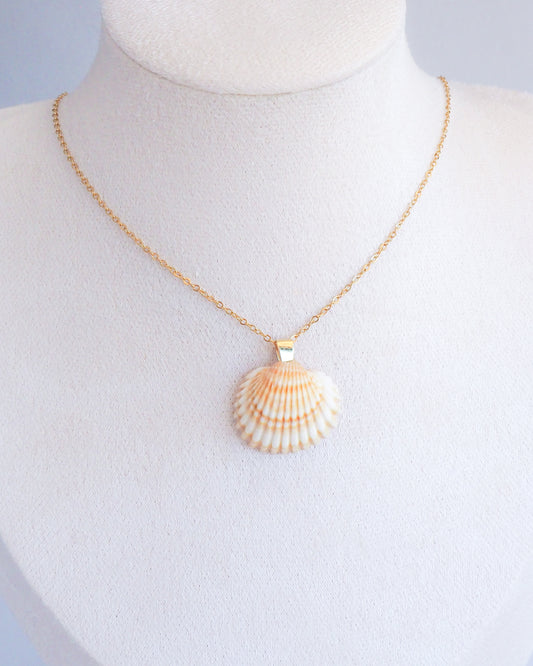 SEASHELL NECKLACE ~ Gold Mediterranean Cockle Shell II