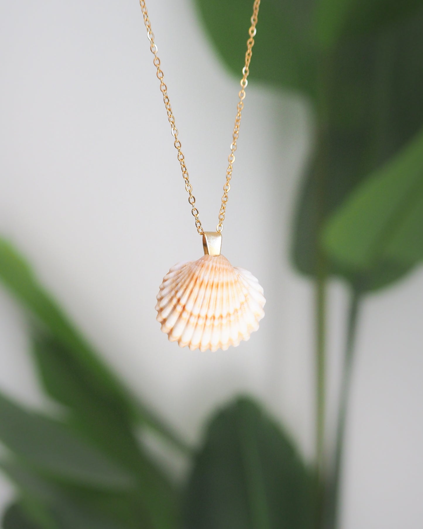 SEASHELL NECKLACE ~ Gold Mediterranean Cockle Shell II