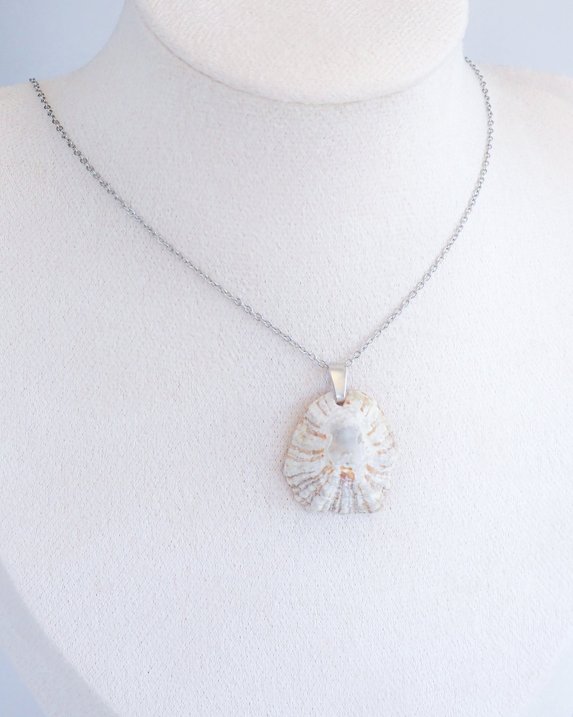 Silver Light Limpet Shell Necklace on stone, Real Shell Necklace, Sea by Lou jewelry