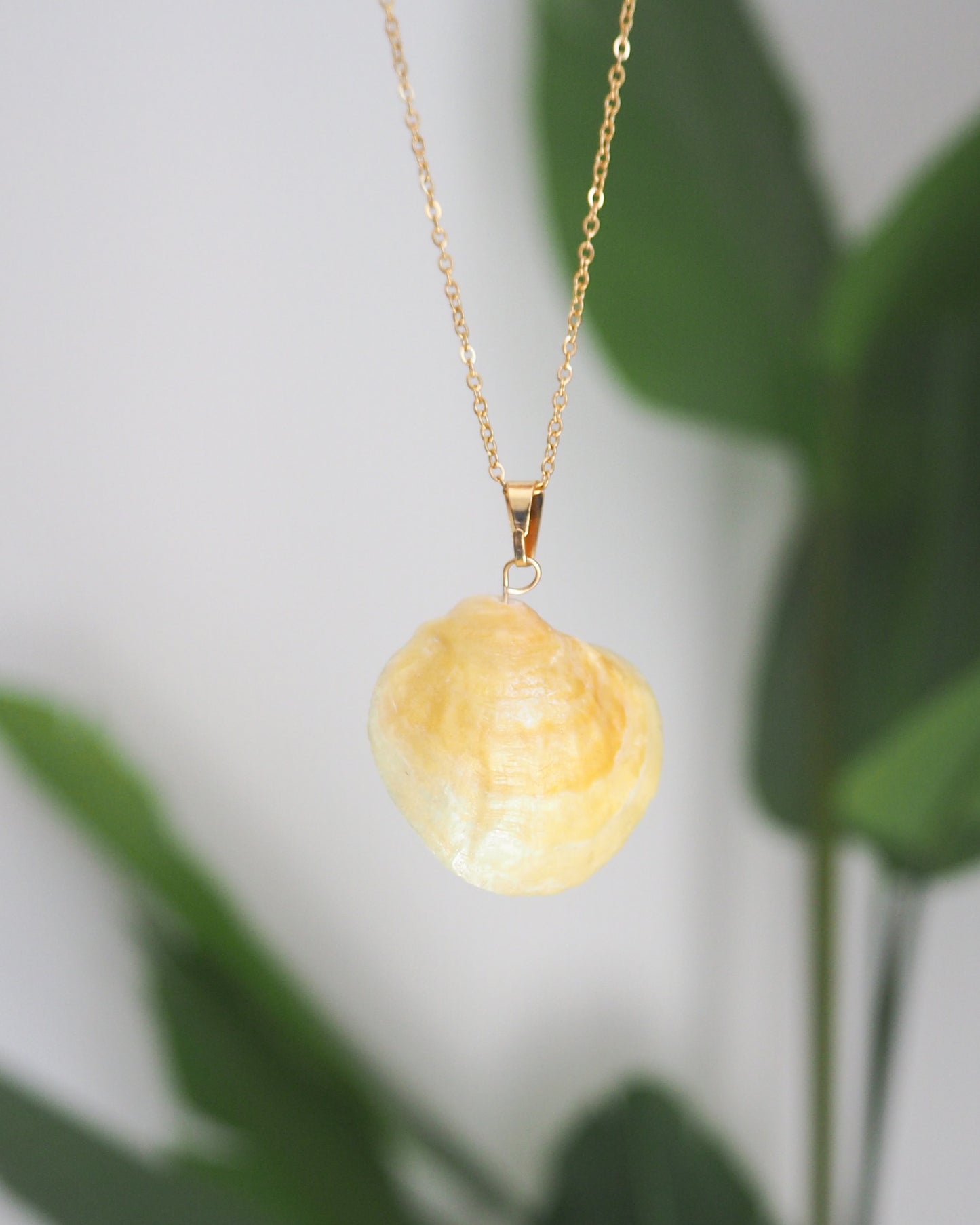 SEASHELL NECKLACE ~ Gold Soft Yellow Jingle Shell V