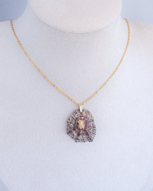 Mediterranean Limpet Shell Gold Necklace on neck, Ocean Inspired Jewelry, Sea by Lou