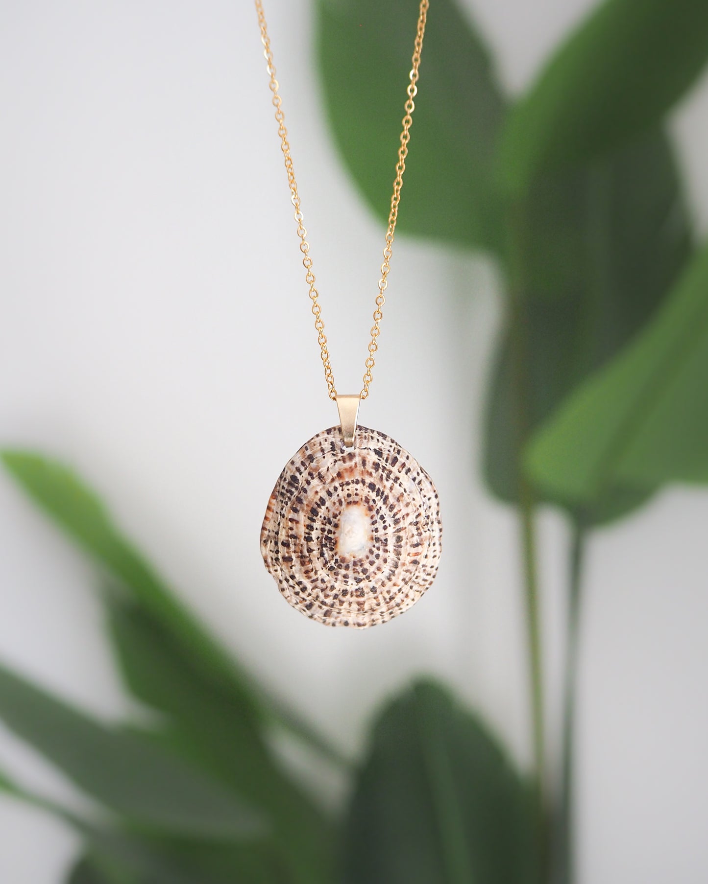 Rustic Limpet Shell Gold Necklace, Ocean Inspired Jewelry, Sea by Lou