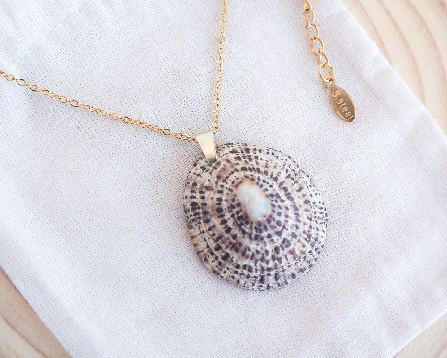 Rustic Limpet Shell Gold Necklace on display, Ocean Inspired Jewelry, Sea by Lou