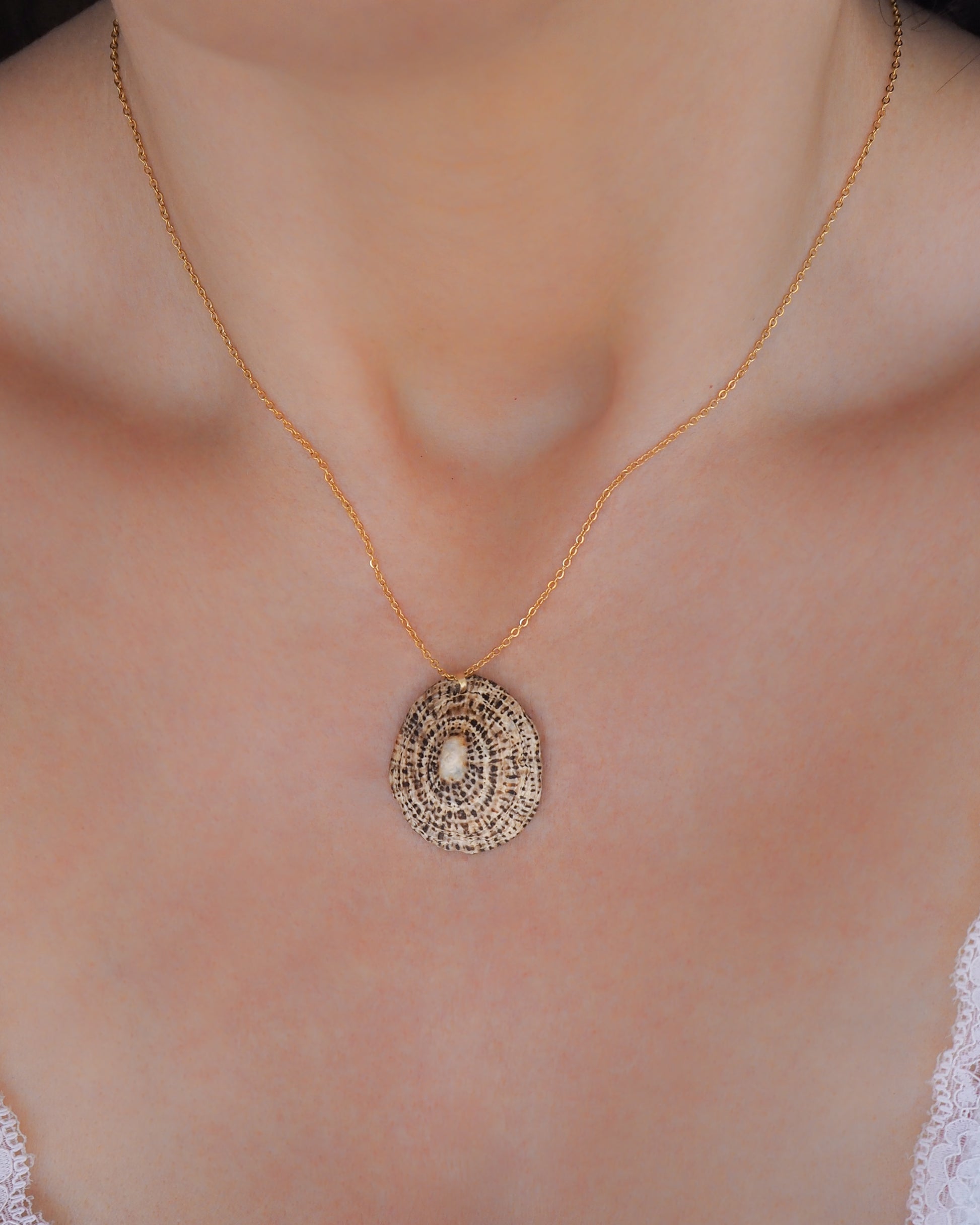 Rustic Limpet Shell Gold Necklace on model, Ocean Inspired Jewelry, Sea by Lou