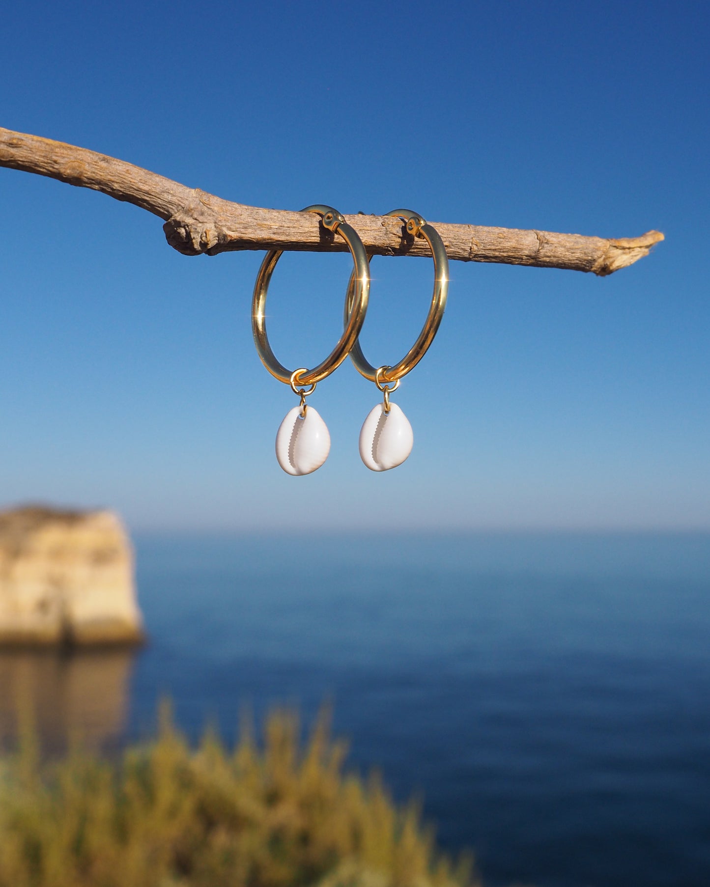 COWRIE SHELL EARRINGS ~ Gold Hoops