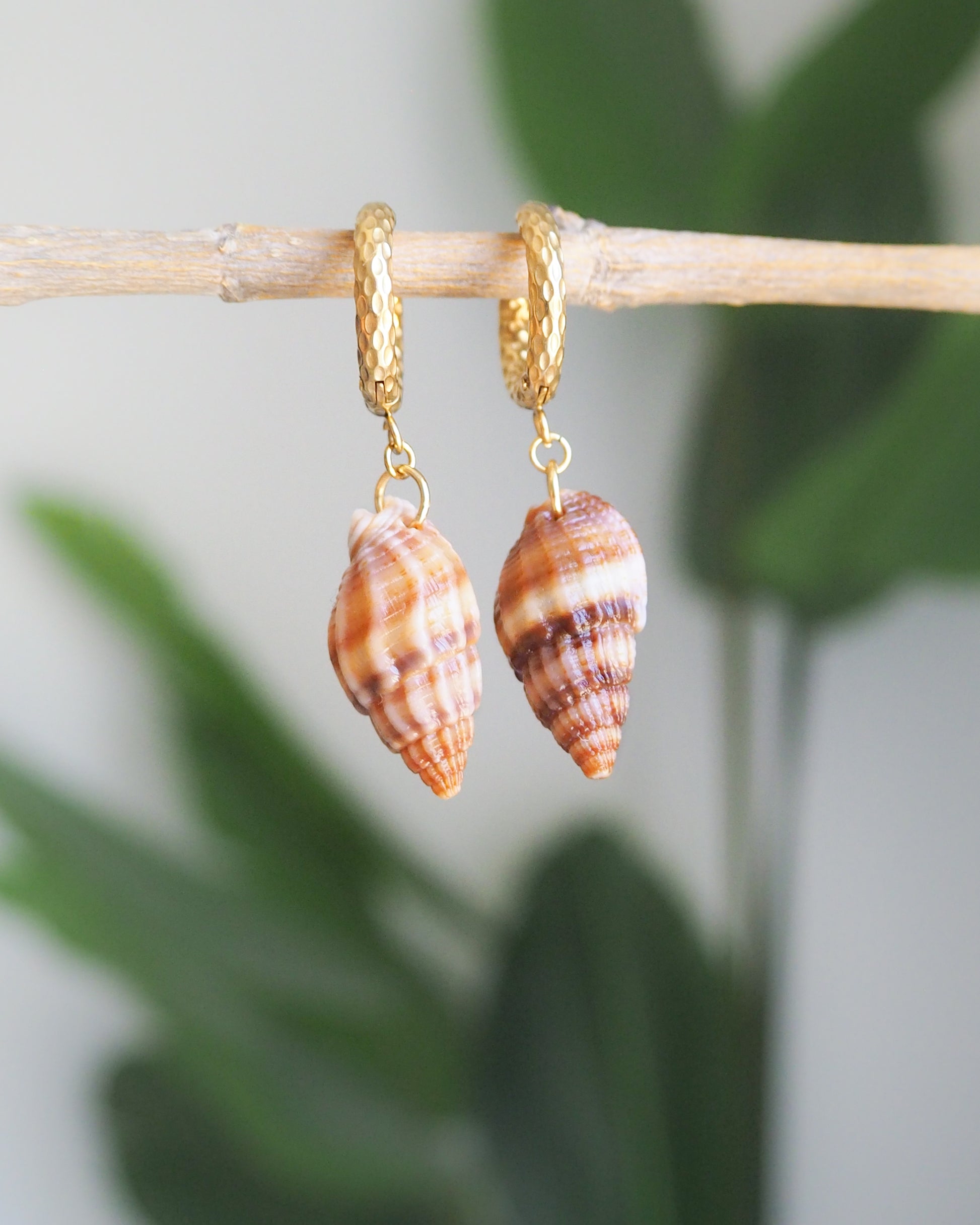 Brown Netted Dogwhelk Shell Gold Earrings with Gold Hoops