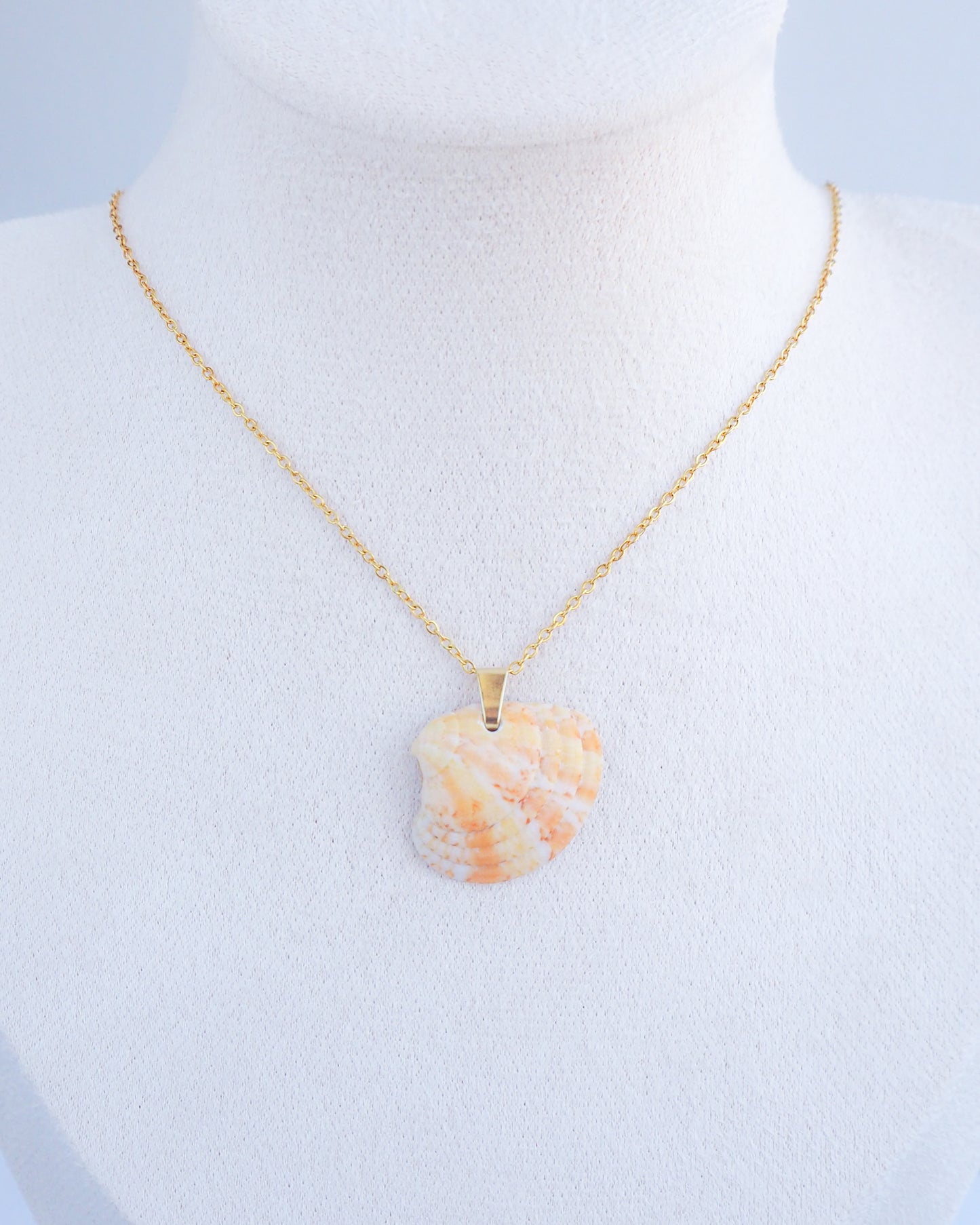 Summer Sun Venus Shell Necklace from Algarve Portugal on neck