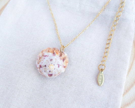 Sunny Magus Top Shell Necklace from Portugal on display