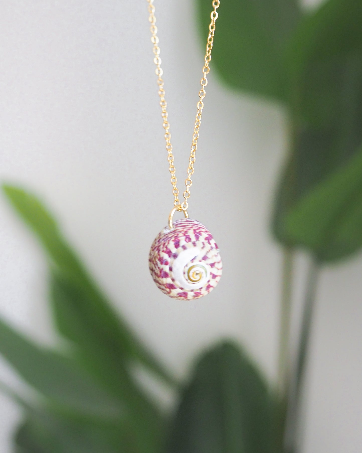 SEASHELL NECKLACE ~ Gold Purple Green Top Shell II