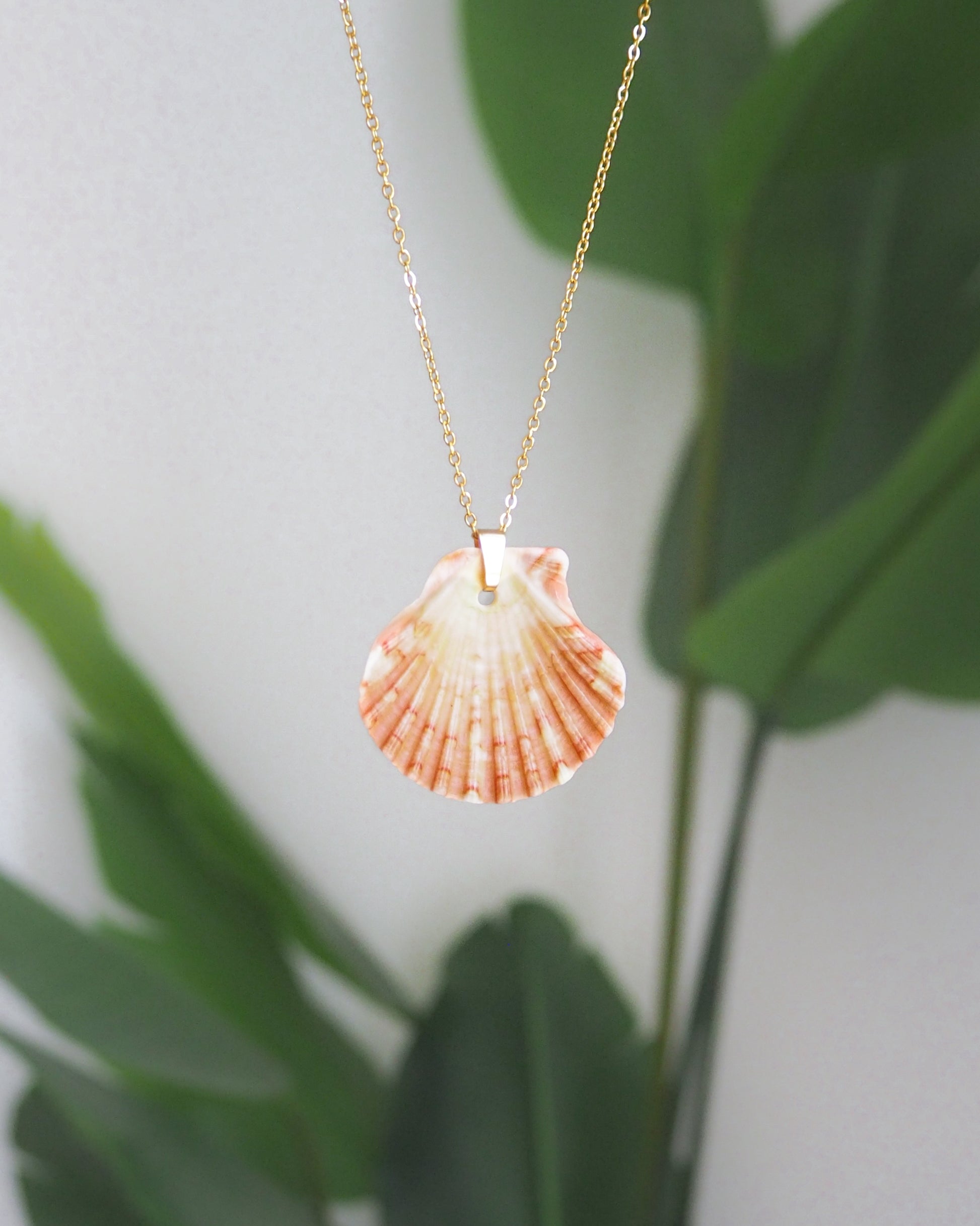 Pilgrims Scallop Shell Necklace