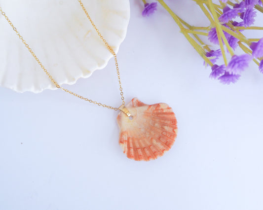Pilgrims Scallop Shell Necklace front view