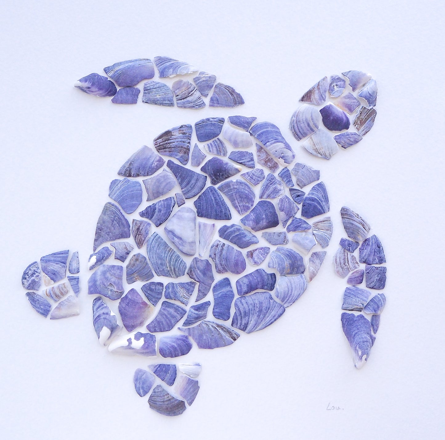 Seashell Turtle || Tartaruga ~ Blue II