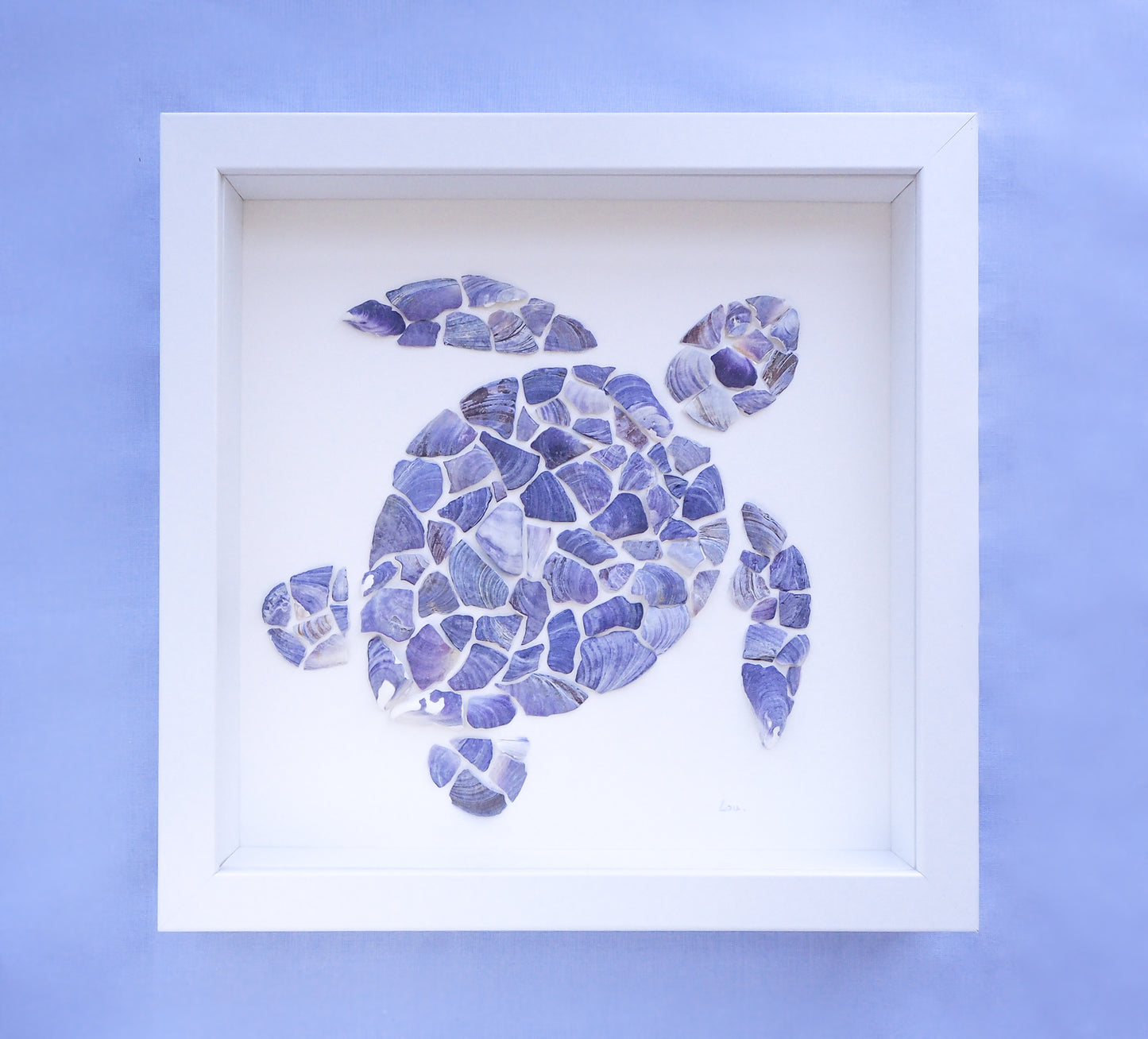 Seashell Turtle || Tartaruga ~ Blue II