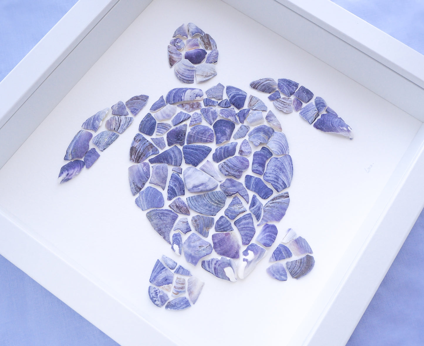 Seashell Turtle || Tartaruga ~ Blue II