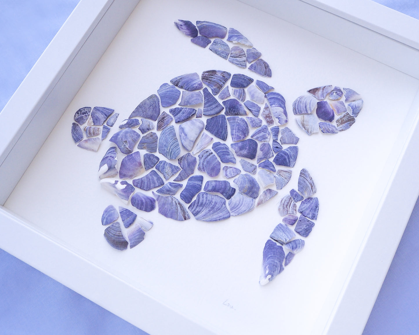 Seashell Turtle || Tartaruga ~ Blue II