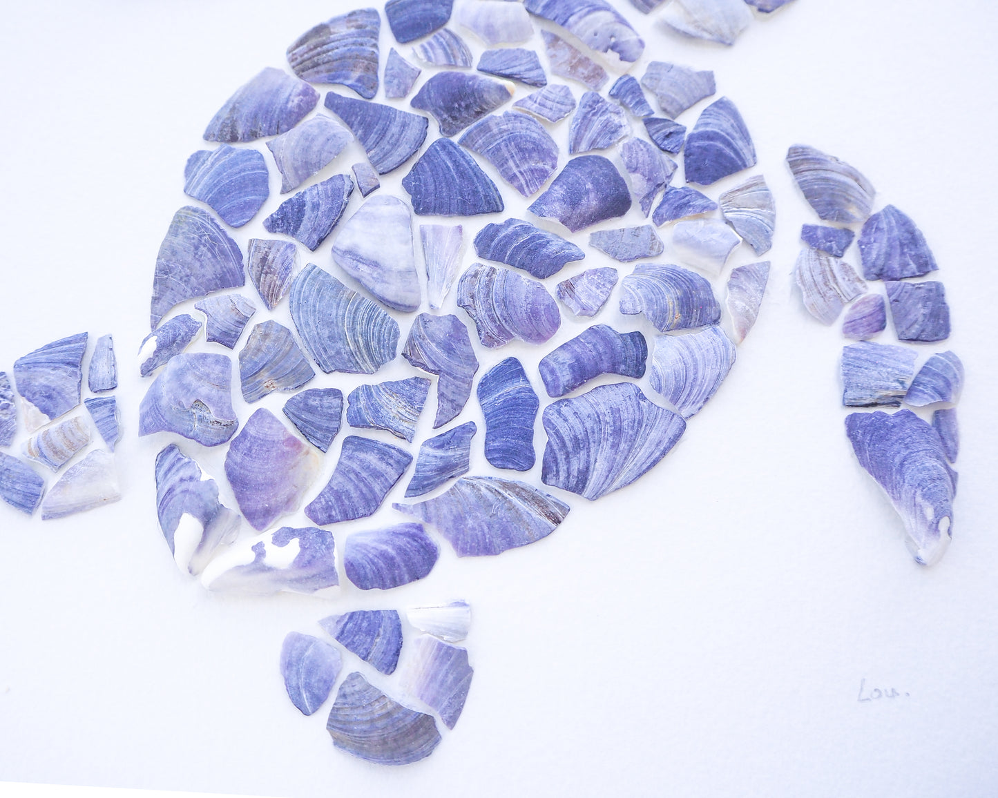 Seashell Turtle || Tartaruga ~ Blue II