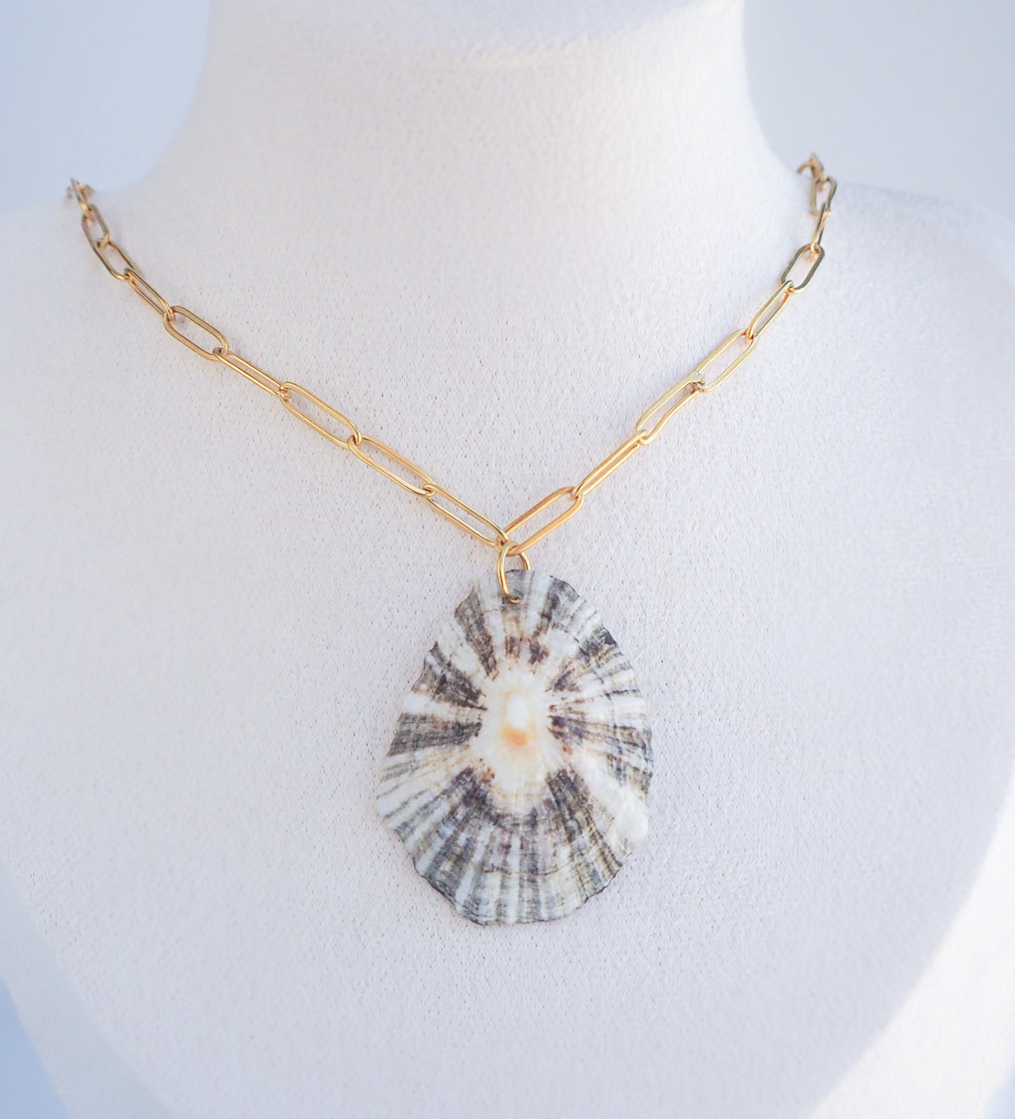 SEASHELL NECKLACE ~ Big Zebra Limpet Shell