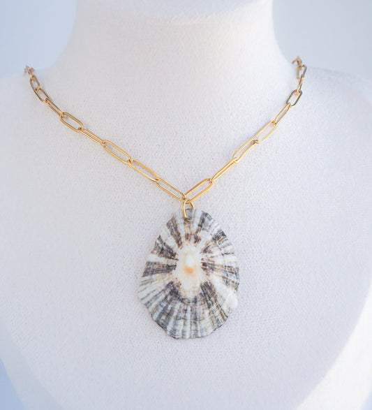 SEASHELL NECKLACE ~ Big Zebra Limpet Shell